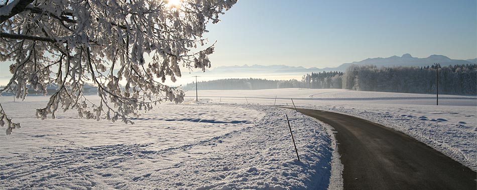 Kommunaler und privater Winterdienst