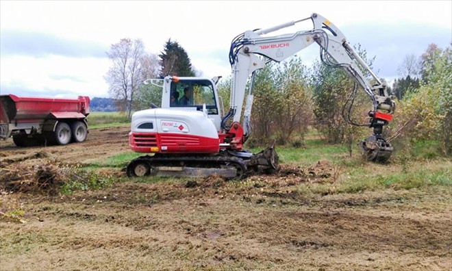 Entbuschung eines Biotopes