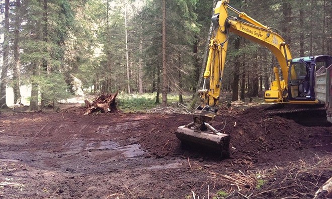 Anlage eines Feuchtbiotopes